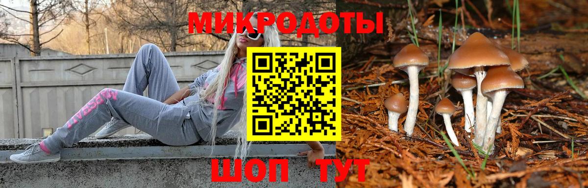 Галлюциногенные грибы Psilocybe  Псилоцибиновые грибы ЛСД  Кингисепп  купить   Вход с VPN 