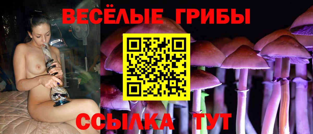 Псилоцибиновые грибы Psilocybine cubensis Кингисепп